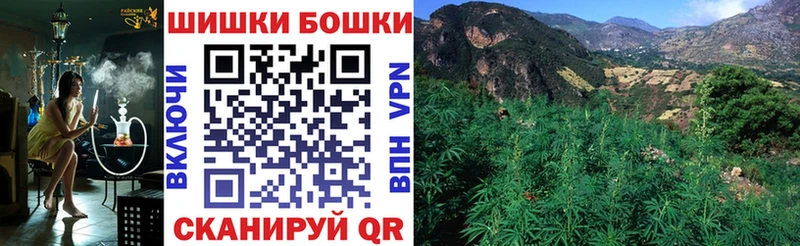 Каннабис сатива Новое Девяткино
